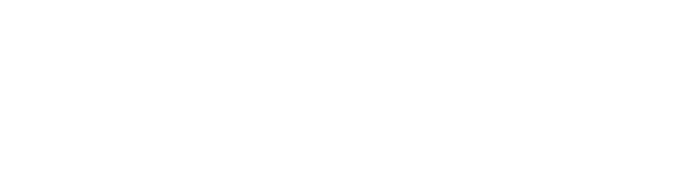 Dialogica Solutions
